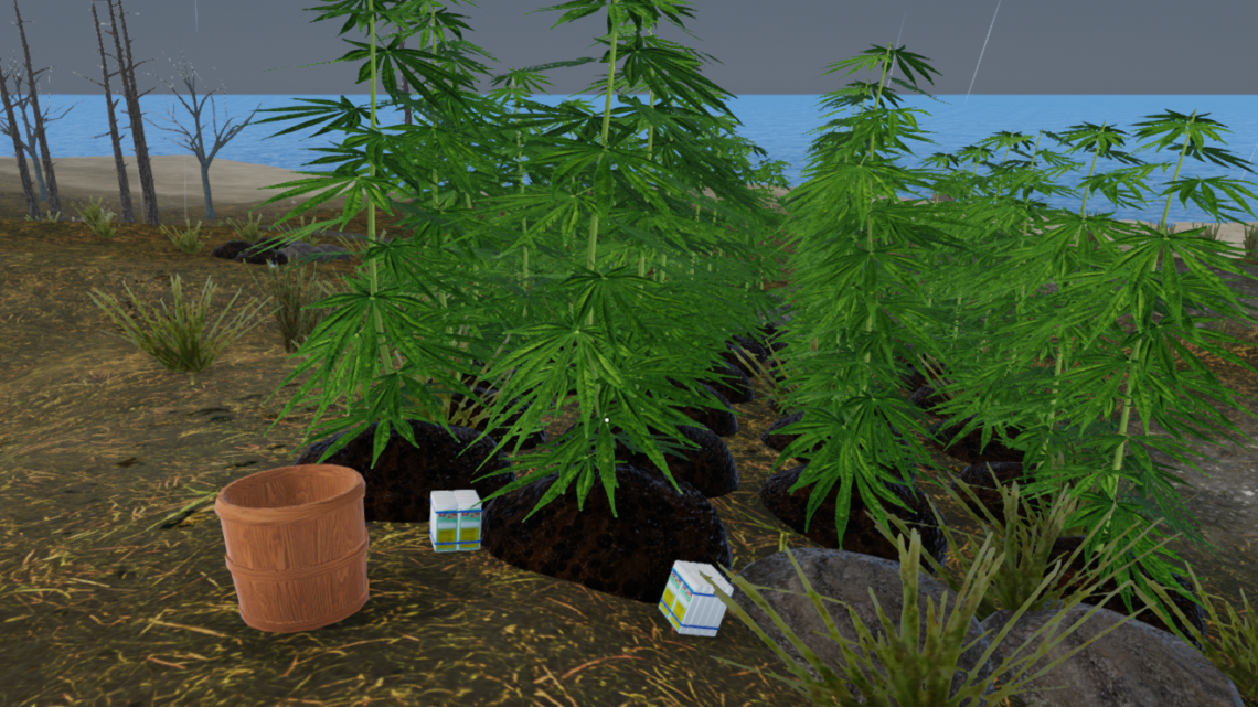 Mon Bazou – Growing cannabis + seeds location