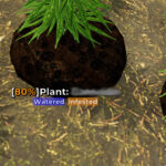 Mon Bazou - Infested plants - co zrobić