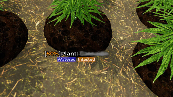 Mon Bazou – Infested plants – what to do