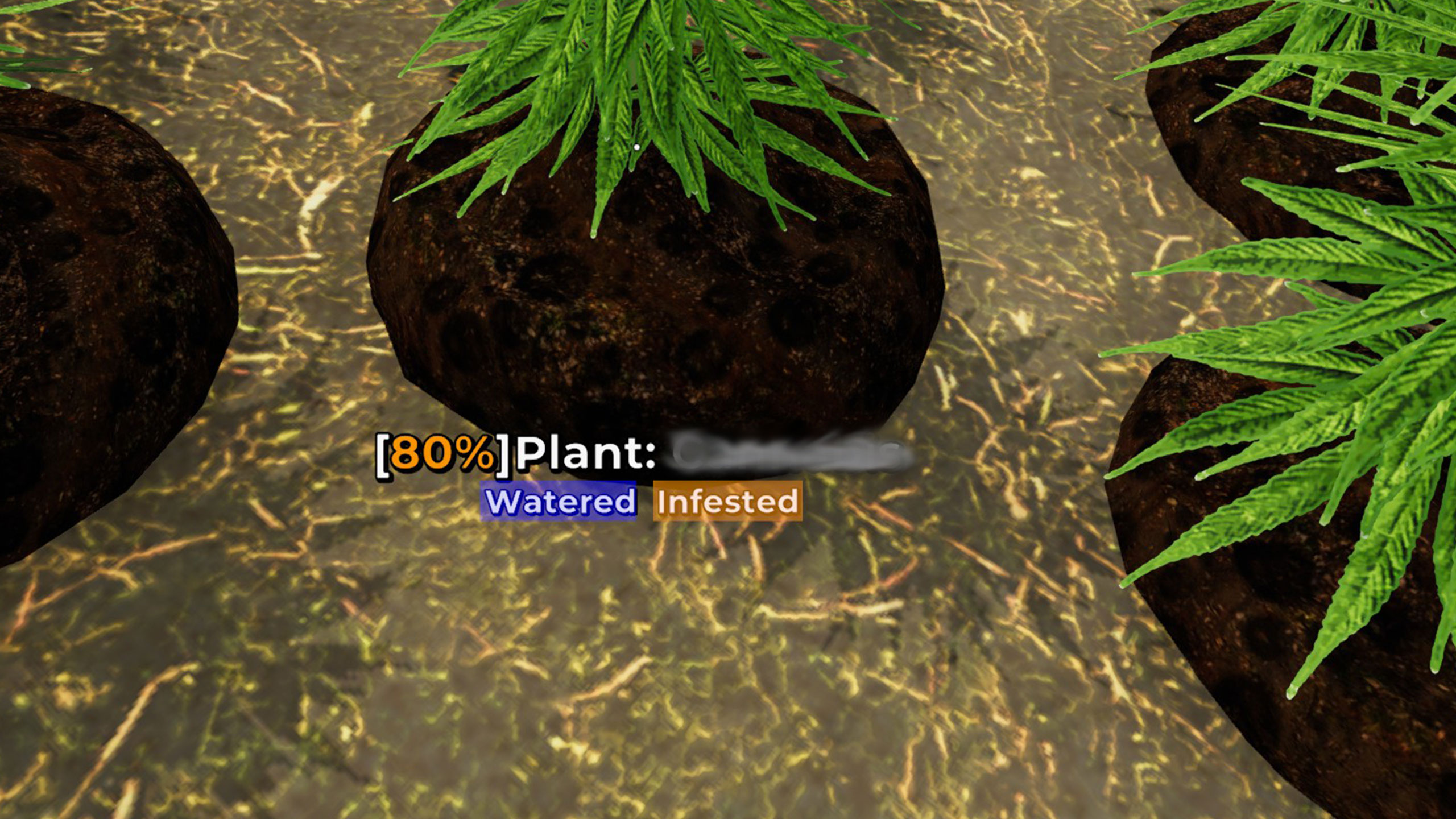 Mon Bazou Infested plants what to do Games Manuals