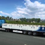 Euro Truck Simulator 2 - Wersja 1.45