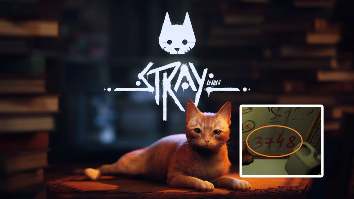 Stray – codes and passwords for doors and safes