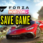 Forza Horizon 5 Save Game