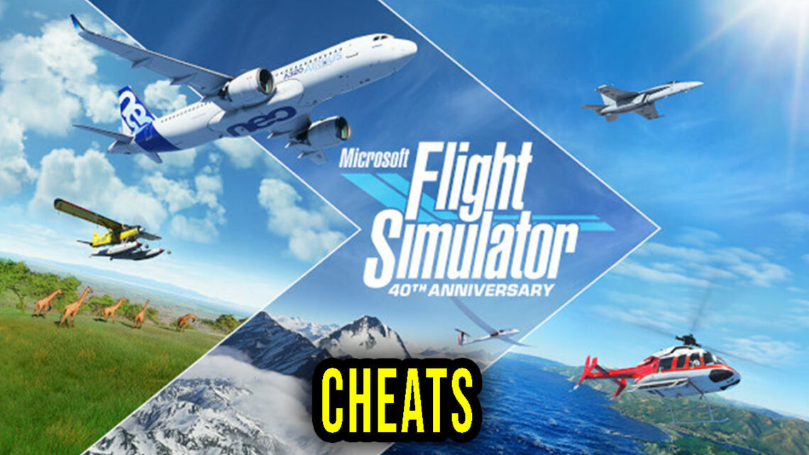 Microsoft Flight Simulator – Cheaty, Trainery, Kody