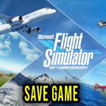 Microsoft Flight Simulator Save Game