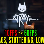 Stray Lag