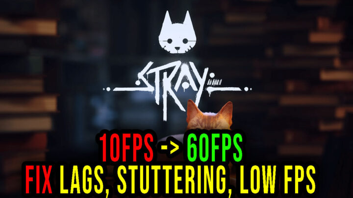 Stray – Lags, stuttering issues and low FPS – fix it!