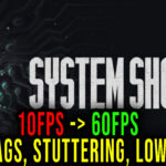 System Shock Lags