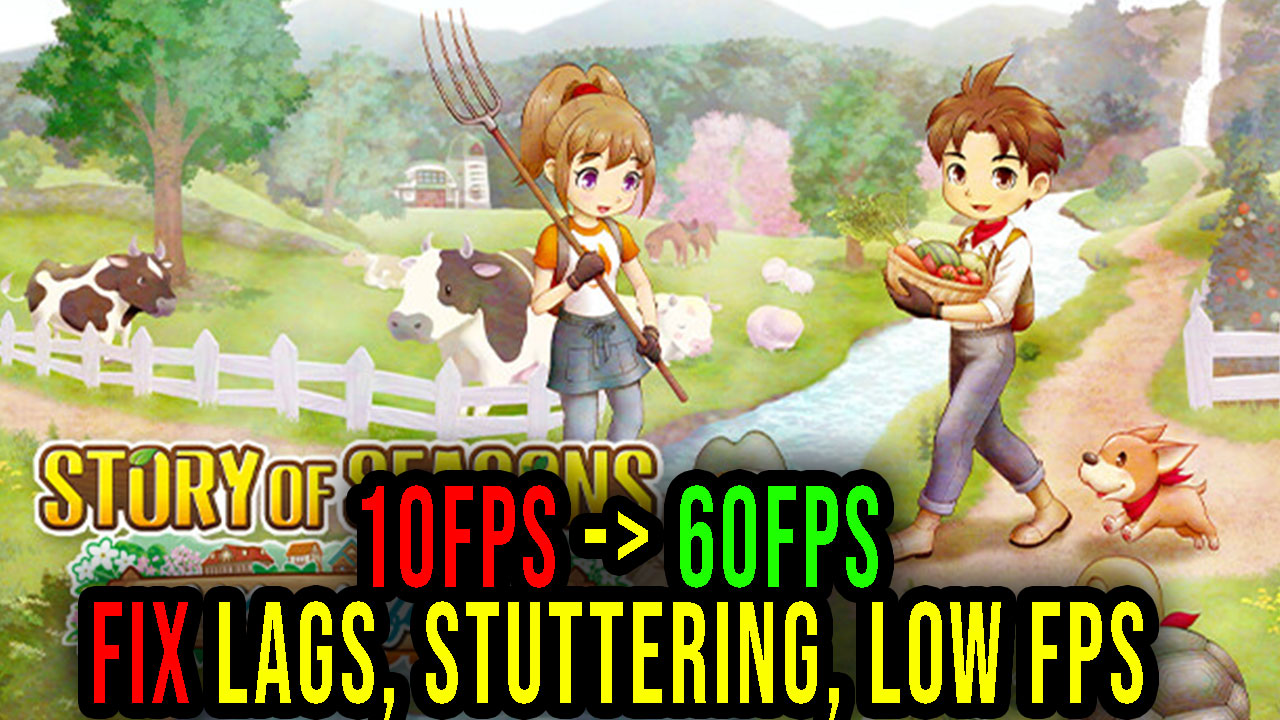 Story of Seasons A Wonderful Life 60FPS IPS Patch   - The  Independent Video Game Community