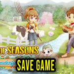 STORY-OF-SEASONS-A-Wonderful-Life-Save-Game