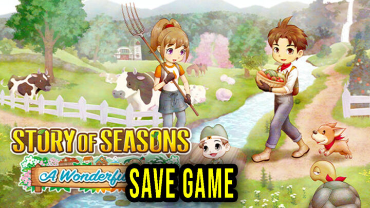 STORY OF SEASONS: A Wonderful Life – Save Game – location, backup, installation