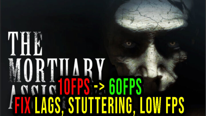 The Mortuary Assistant – Lags, stuttering issues and low FPS – fix it!
