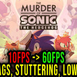 The-Murder-of-Sonic-the-Hedgehog-Lag