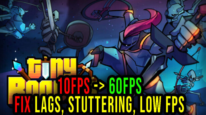 Tiny Rogues – Lags, stuttering issues and low FPS – fix it!