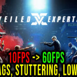 VEILED-EXPERTS-Lag