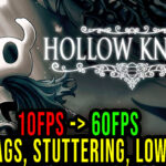 Hollow Knight Lag