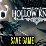 Hollow Knight Save Game