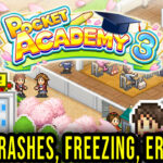Pocket Academy 3 Crash