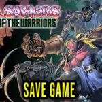The Ninja Saviors Return of the Warriors Save Game