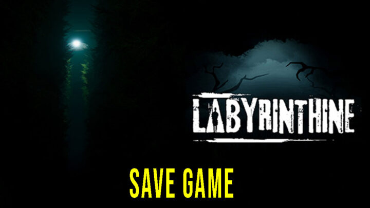 Labyrinthine – Save Game – location, backup, installation