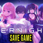 Eternights Save Game