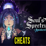 Soul’s Spectrum Awakening Cheats