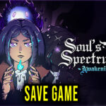 Soul’s Spectrum Awakening Save Game