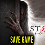 Stray Souls Save Game