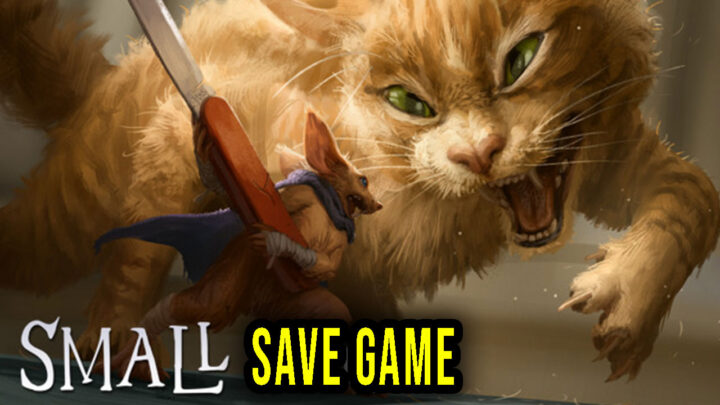 Small Saga – Save Game – location, backup, installation