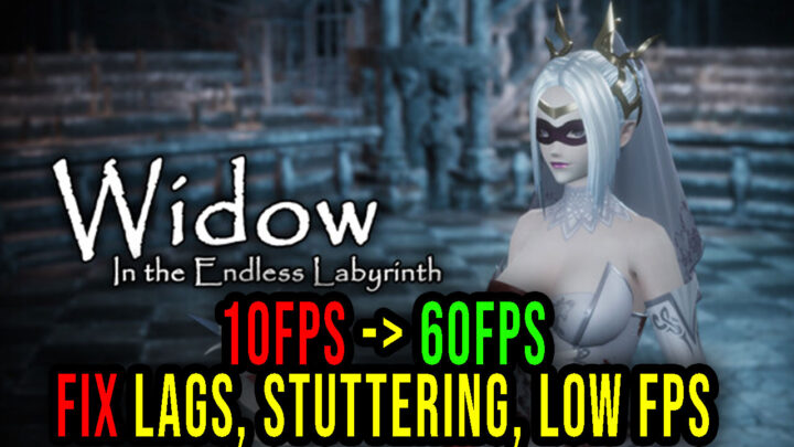 Widow in the Endless Labyrinth – Lags, stuttering issues and low FPS – fix it!