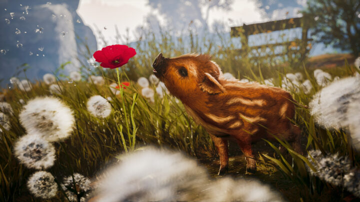Adorable Adventures – relaxing exploration game